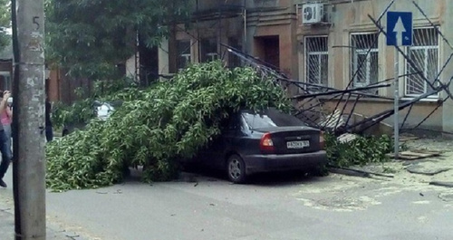 Упавшее дерево во дворе дома в Ростове-на-Дону. Фото из сообщества «Ростов Главный»/Vk.com Упавшее дерево во дворе дома в Ростове-на-Дону. Фото из сообщества «Ростов Главный»/Vk.com