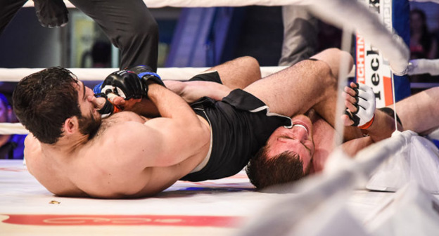 Четвертый этап серии турниров ММА Tech-KREP FC: Prime Selection 2015 в Краснодаре. Фото: Елена Синеок, ЮГА.ру