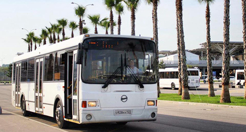 Автобус в Сочи. Фото http://mupsat.ru/index.php?r=site%2Fnews&id=85