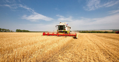 Сбор урожая. Фото https://chechnyatoday.com/content/view/303469