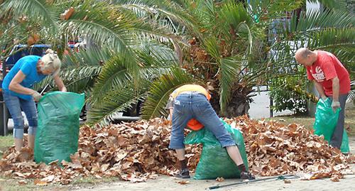 Сбор листьев с газонов и упаковка их в мешки как мусор в сквере Конституции напротив Центральной поликлиники № 1. Фото Светланы Кравченко для "Кавказского узла"