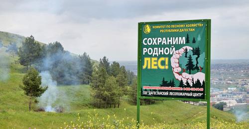 Информационный щит, предупреждающий о лесных пожарах. Фото http://www.riadagestan.ru/