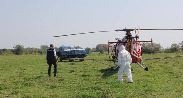 С мраморными клопами в Грузии начали бороться при помощи авиации Фото  FB / National Food Agency, https://www.facebook.com/National.Food.Agency/photos/a.1453152704720620.1073742032.312044018831500/1453152994720591/?type=3&theater
