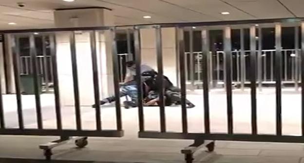 Задержание участника драки фанатов на матче Зенит Краснодар 24 09 2017. Фото Стоп-кадр видео БОРЕЦ ТВ
https://www.youtube.com/watch?v=wbAlim9E-j4