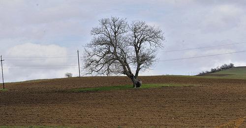 На линии соприкосновения в Нагорном Карабахе. Фото © Sputnik/ Asatur Yesayants

