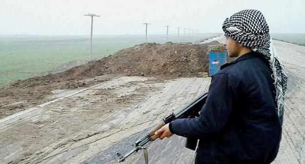 Война в Сирии. Фото: Kurdishstruggle https://www.flickr.com