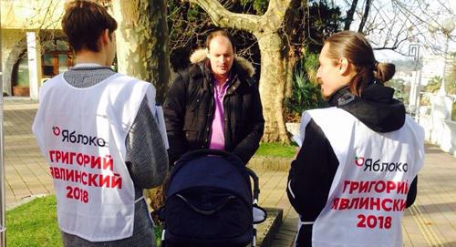 Члены партии "Яблоко" во время пикета в Сочи. Фото Светланы Кравченко для "Кавказского узла"
