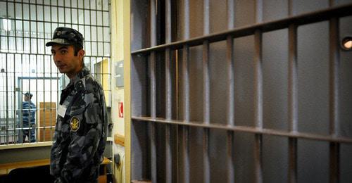 Колония. Фото: Елена Синеок. ЮГА.ру Колония. Фото: Елена Синеок. ЮГА.ру