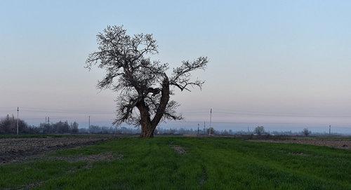 Евлахский район Азербайджана. Фото © Sputnik / Murad Orujov

https://ru.sputnik.az/life/20170301/409175949/pogoda-azerbajdzhan-mart-baku-sinoptiki.html
