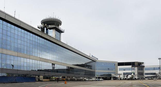 Аэропорт Домодедово. Фото: Dmitry A. Mottl https://ru.wikipedia.org