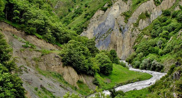 Аргунское ущелье. Фото: ben van der ploeg https://ru.wikipedia.or