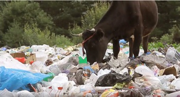 Мусор на Архызе. Фото: скриншот видеозаписи "Архыз - чистые горы", опубликованной 2 мая 2017 года на YouTube-канале 
Sandler Film https://www.youtube.com/watch?v=CZH3y7QOy60