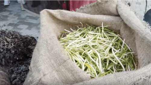 Черемша в мешке. Скриншот видео "Фестиваль черемши в Грозном 02.03.19". https://www.youtube.com/watch?v=_f1xW290HCs