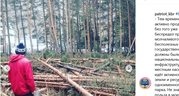 Фото с места вырубки в поселке Терскол. Скриншот публикации в паблике "Патриот КБР"
https://www.instagram.com/p/BxCrUDxnk7x/