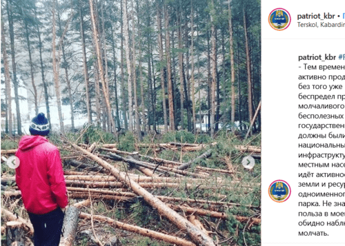 Фото с места вырубки в поселке Терскол. Скриншот публикации в паблике "Патриот КБР"
https://www.instagram.com/p/BxCrUDxnk7x/
