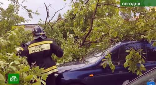 Устранение последствий стихии во Владикавказе. Фото: кадр видео НТВ https://www.youtube.com/watch?v=ec0cKtuOB88 Устранение последствий стихии во Владикавказе. Фото: кадр видео НТВ https://www.youtube.com/watch?v=ec0cKtuOB88