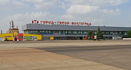 Фото: A.Savin (Wikimedia Commons · WikiPhotoSpace)