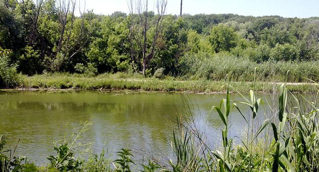 Река Темерник возле Ростовского-на-Дону ботанического сада, вид с левого берега. Фото Гайдук - https://ru.wikipedia.org/wiki/Темерник
