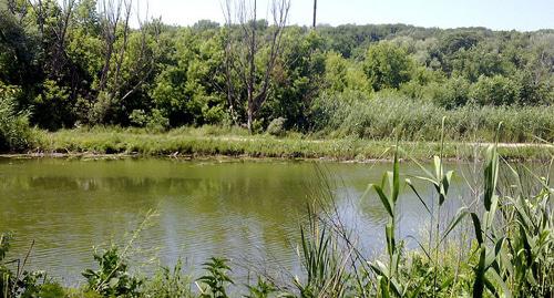 Река Темерник возле Ростовского-на-Дону ботанического сада, вид с левого берега. Фото Гайдук - https://ru.wikipedia.org/wiki/Темерник
