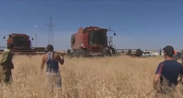 Фермеры пытаются остановить комбайны на поле в Волгоградской области. скриншот видео НТВ https://www.youtube.com/watch?v=859630kZ5rE