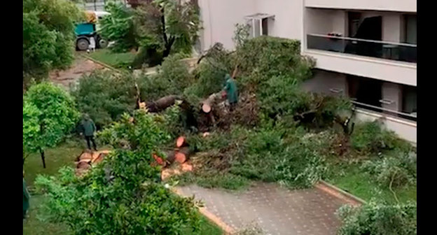 Последствия грозы на полуострове Халкидики. Фото: кадр видео Татьяна Сидоренко https://www.youtube.com/watch?v=KmelYgkB8pc