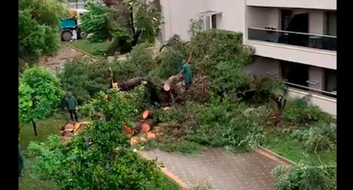 Последствия грозы на полуострове Халкидики. Фото: кадр видео Татьяна Сидоренко https://www.youtube.com/watch?v=KmelYgkB8pc