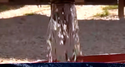 Источник  в селе Ишхой-Юрт. Фото: скриншот видео ЧГТРК "Грозный"
http://newsvideo.su/video/11010204