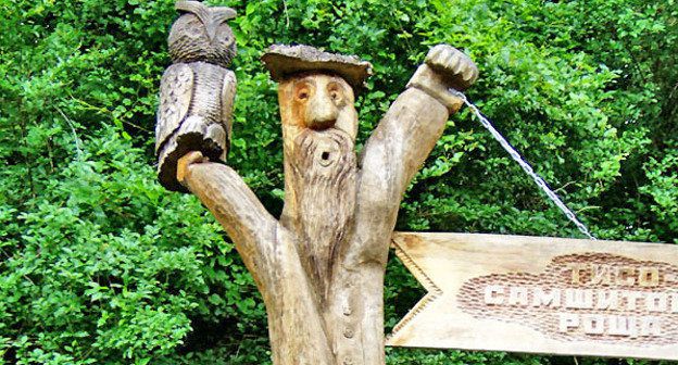 Вход на территорию самшитовой рощи. Фото Светланы Кравченко для "Кавказского узла"