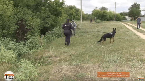 Скриншот видео "Масштабная операция: в Волгоградской области третий день ищут без вести пропавшего ребенка", https://www.youtube.com/watch?v=4Io6T6RxMbM
