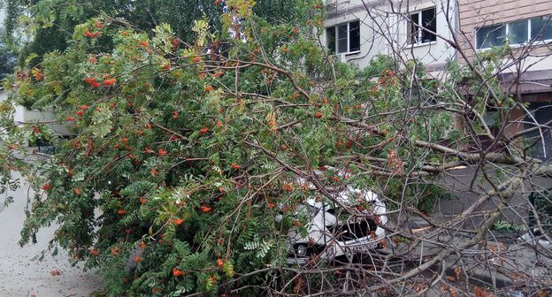 Последствия стихии в Ростове-на-Дону. Фото Константина Волгина для "Кавказского узла"
