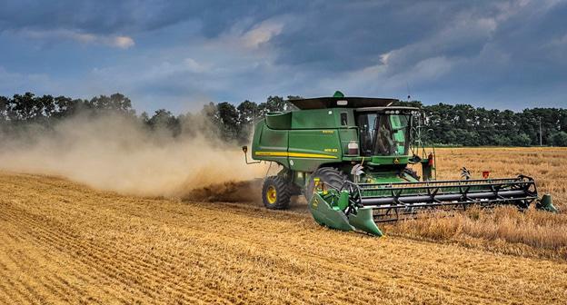 Уборка урожая. Фото: Иван Журавлев / Югополис