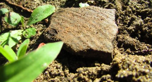 Осколок хазарской керамики на участке Московкиных. Фото Вячеслава Ященко для "Кавказского узла".