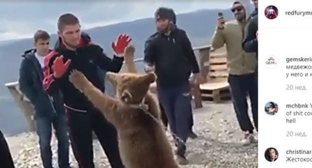 Хабиб Нурмагомедов борется с медведем. Фото  кадр видео со страницы Нурмагомедова в Instagram.