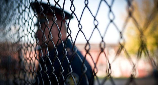 Колония. Фото: Елена Синеок, ЮГА.ру