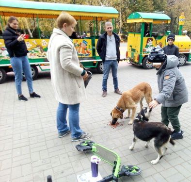 Участники акции в Батайске кормят собак. Фото Валерия Люгаева для "Кавказского узла".
