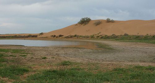 Наримановский район. Фото: Alfredovic CC BY 3.0 https://ru.wikipedia.org/