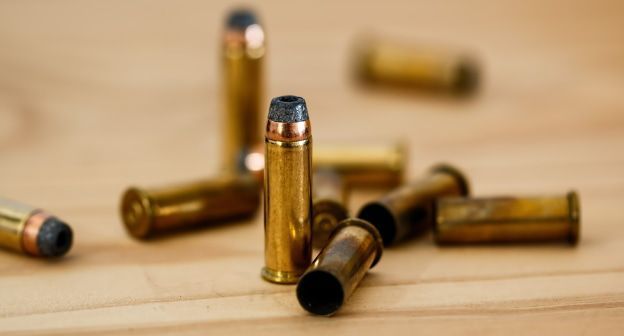 Патроны и гильзы. Фото: Steve Buissinne/Pixabay 