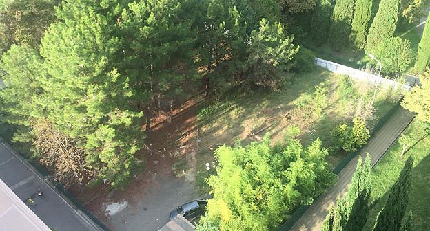 Огороженная строителям территория парковой зоны Адлера. Фото Светланы Кравченко для "Кавказского узла".