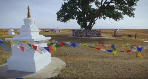 "Одинокий тополь" в Калмыкии. Скриншот видео канала Vladimir Sidorenko https://www.youtube.com/watch?v=Uu2w3EunoGk&app=desktop 