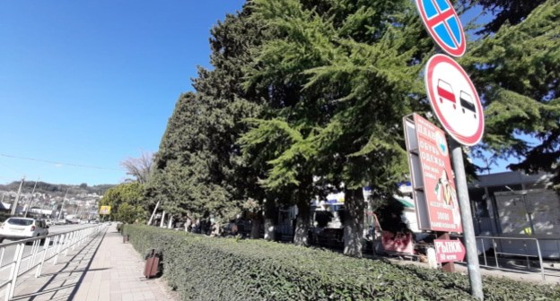 Место строительства перехода в Сочи. Фото Светланы Кравченко для "Кавказского узла".