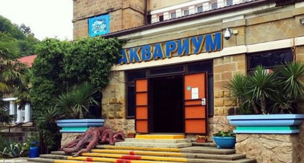 Здание морского зоопарка в Мацесте. Фото Светланы Кравченко для "Кавказского узла".