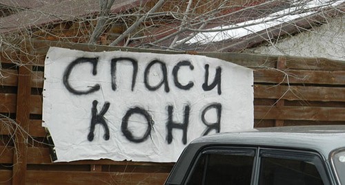 Плакат на стене конюшни "Соснового бора". Фото Татьяны Филимоновой для "Кавказского узла"