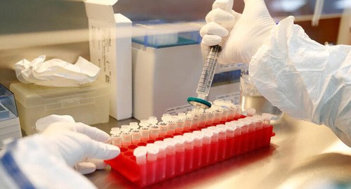 Cсследований и разработкf вакцины против коронавирусной болезни (COVID-19) в лаборатории  Фото: REUTERS/Anton Vaganov