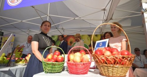 Ярмарка в Нальчике. Фото Луиза Оразаева для "Кавказскогот узла".