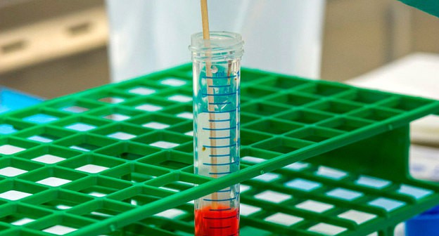 Анализ в лаборатории © Фото CDC, unsplash.com
