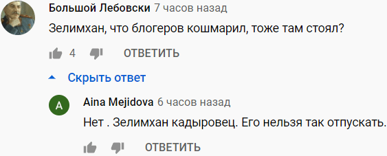 Скрин комментариев пользователей с никами "Большой Лебовски" и "Aina Mejidova" в YouTube