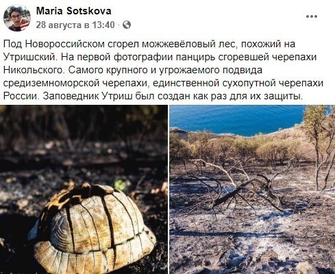 Скриншот со страницы пользователя Maria Sotskova в Facebook https://www.facebook.com/maria.sotskova.58 Скриншот со страницы пользователя Maria Sotskova в Facebook https://www.facebook.com/maria.sotskova.58