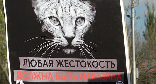 Плакат против жестокости к животным . Фото Татьяны Филимоновой для "Кавказского узла"