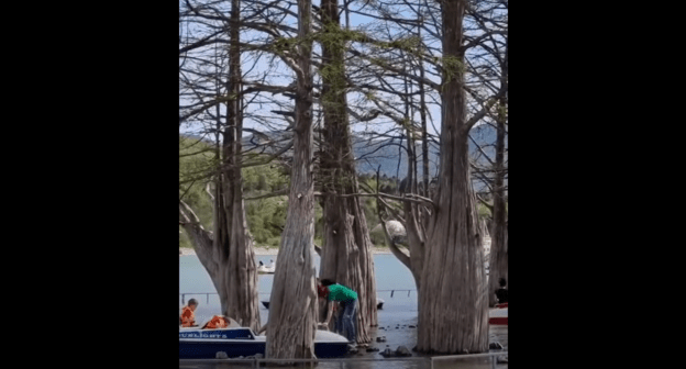 Туристы в кипарисовой роще под Анапой. Стоп-кадр видео https://youtu.be/JyOPJt-sjqA