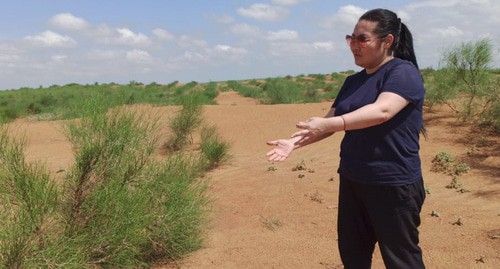 Предприниматель Баира Цыгаменко на одном из участков пустыни, где в 2019 году был посажен джузгун. Поселок Бергин Юстинского района Калмыкии, 6 июля. Фото Баиры Цыгаменко для "Кавказского узла".